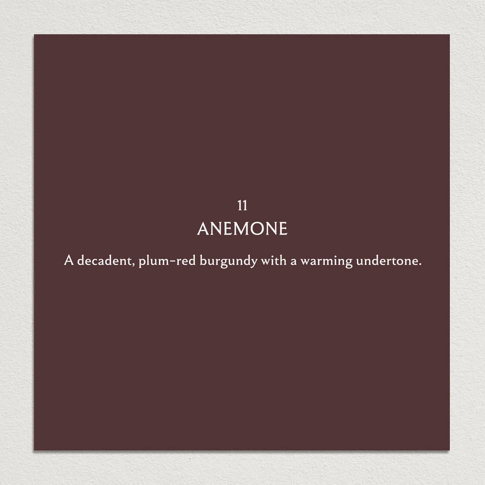 ANEMONE Paint - 11 - Image 4