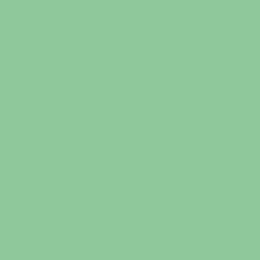ANISE Paint - 65 - Image 3