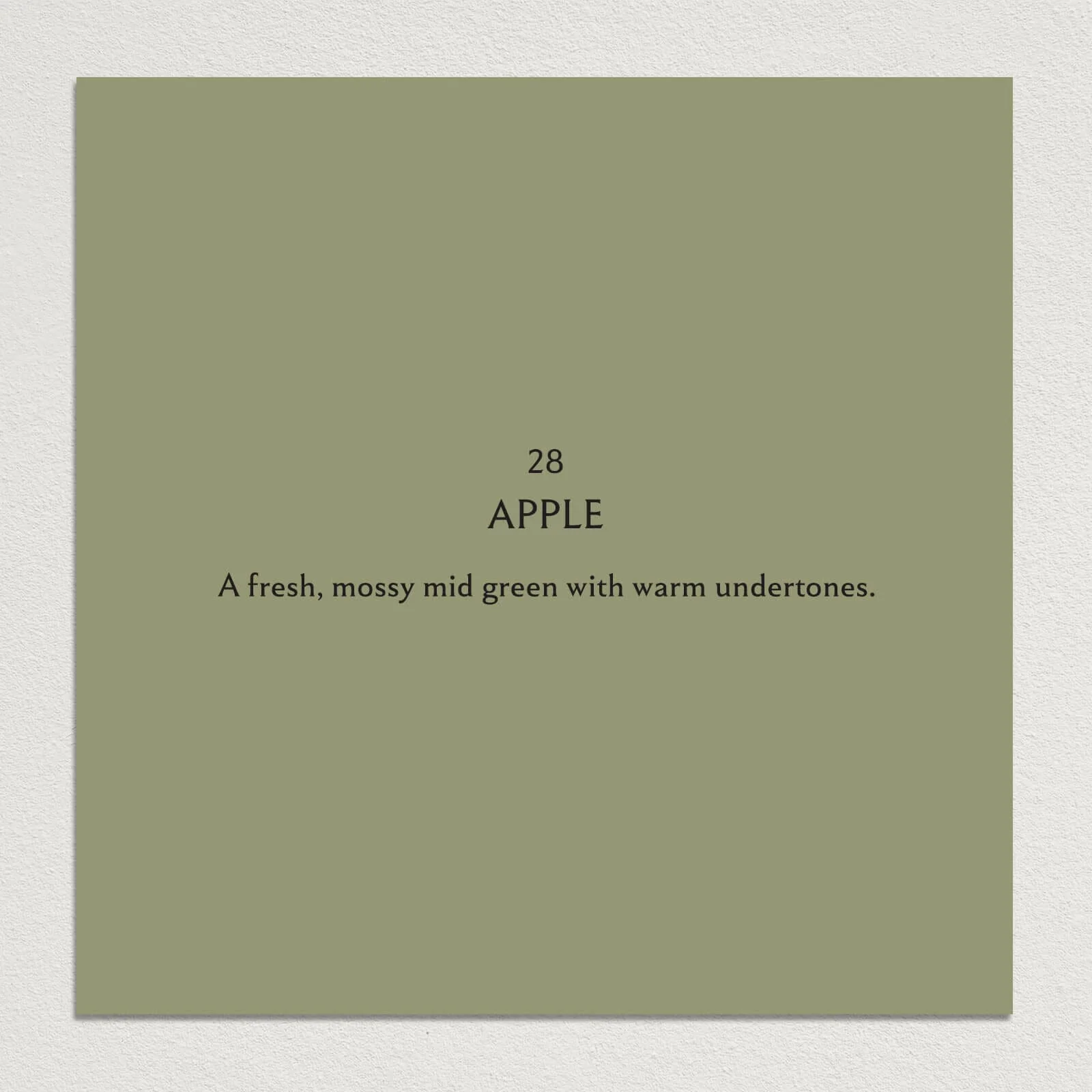 APPLE Paint - 28 - Image 3