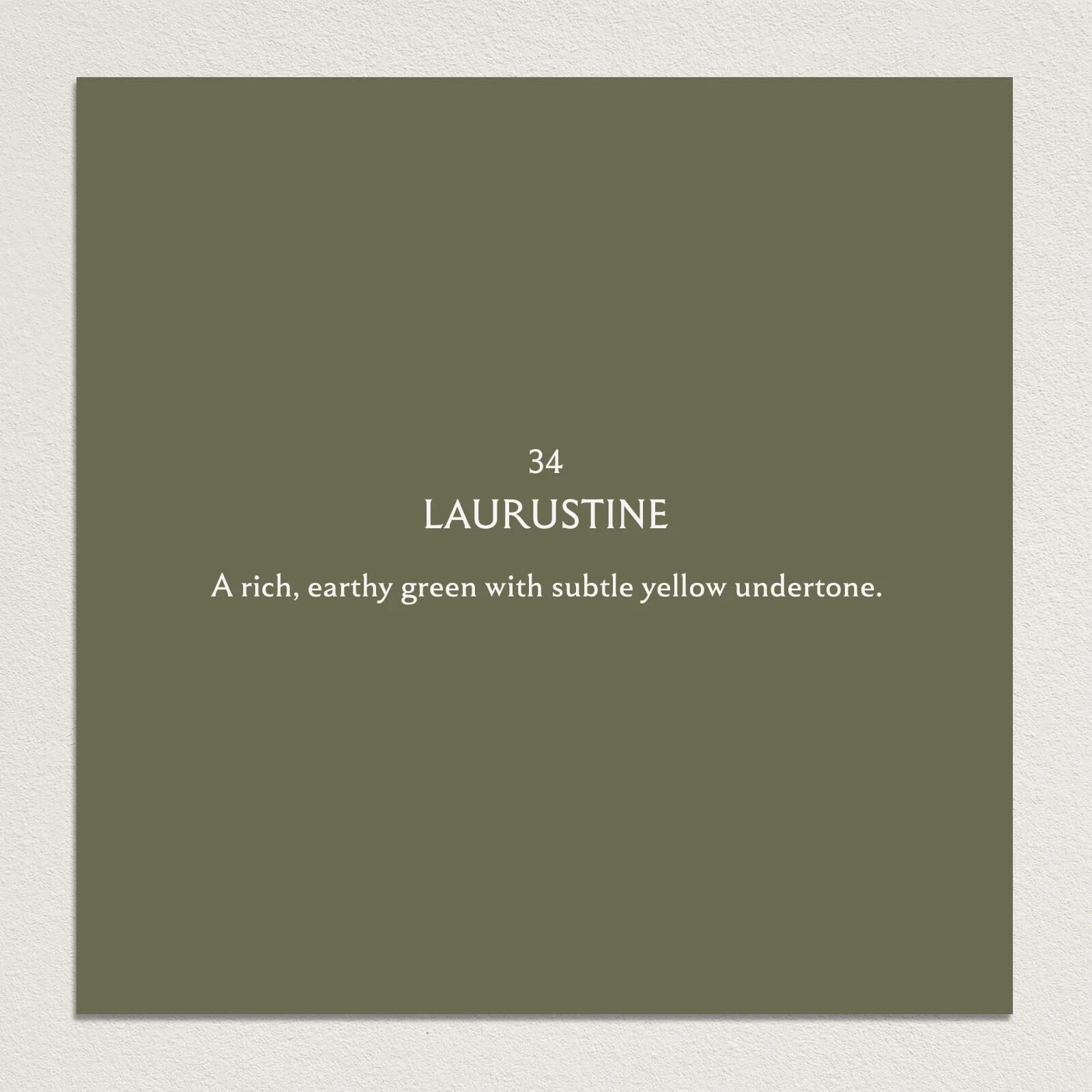 LAURUSTINE Paint - 34 - Image 3