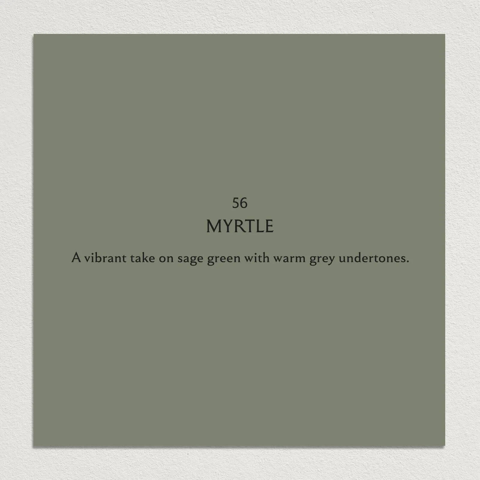 MYRTLE Paint - 56 - Image 3