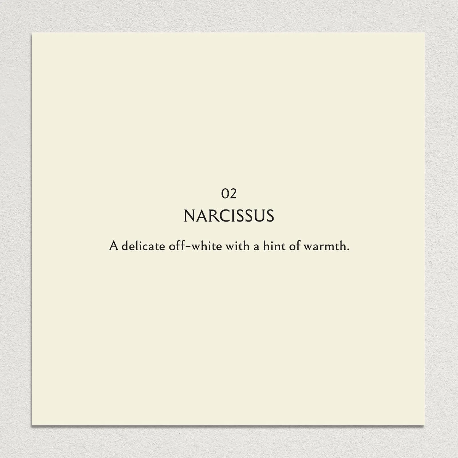 NARCISSUS Paint - 02 - Image 3