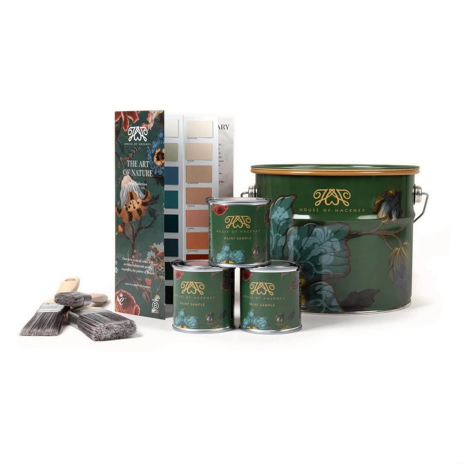 NASTURTIUM Paint - 17 - Image 4